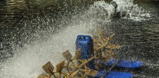 Co najpierw aerator czy wertykulator?