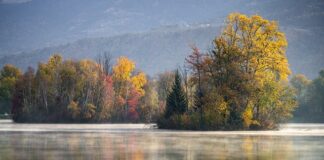 Czy gres polerowany nadaje się na podłogę?