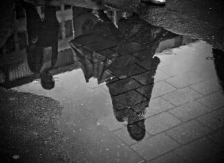 Jaki dobry grunt do ścian?