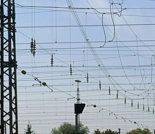 Co to jest cięgno Nortona? Co to jest cięgno Nortona?