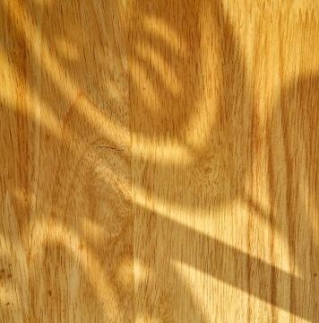 Drewno do łazienki i kuchni – które gatunki lepiej znoszą wilgoć? Drewno do łazienki i kuchni